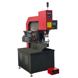 CW-824-2E Double-disc automatic feeding hydraulic fastener insertion machine